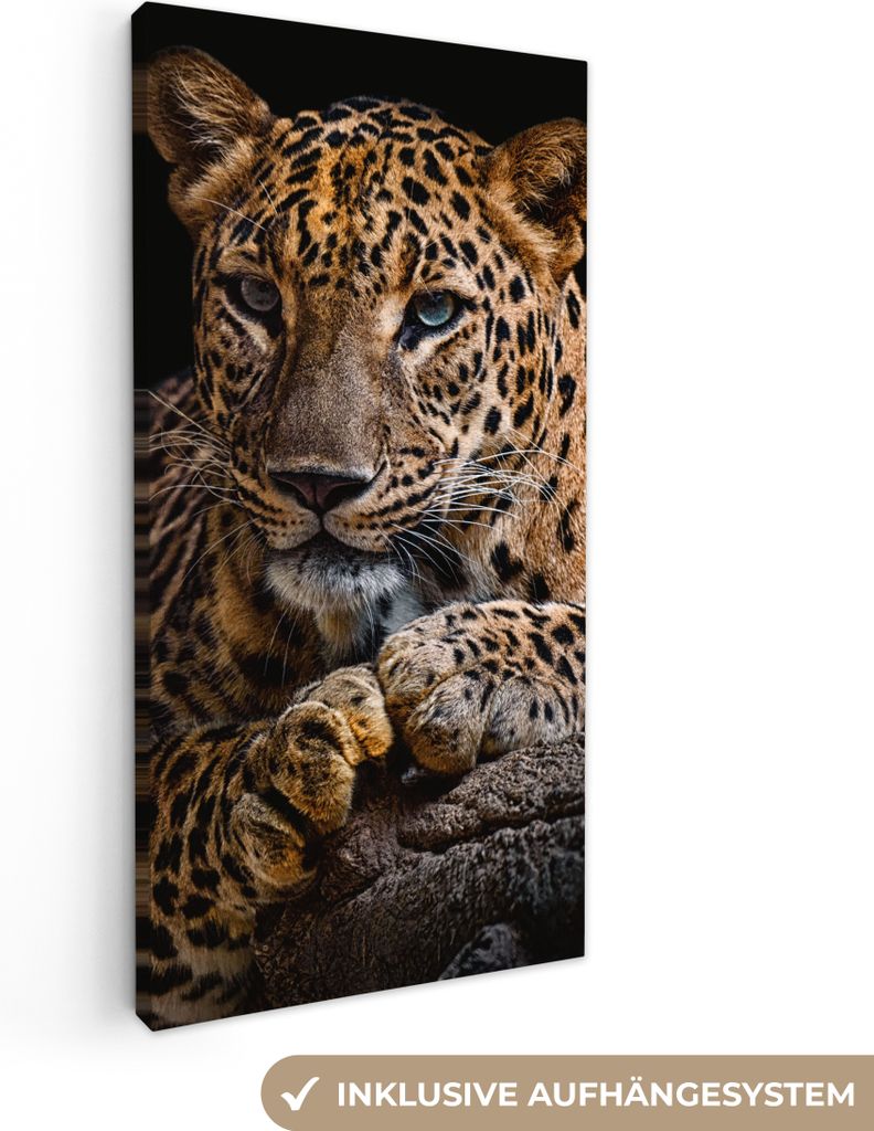MuchoWow - Leinwandbilder - Wildtiere - Panther - Porträt - Schwarz - Tiere, Wandbild, Wanddeko Bilder Wohnzimmer, 40x80 cm