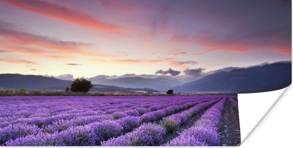 MuchoWow Poster Sonnenuntergang über Lavendel 120x60 cm - Bild