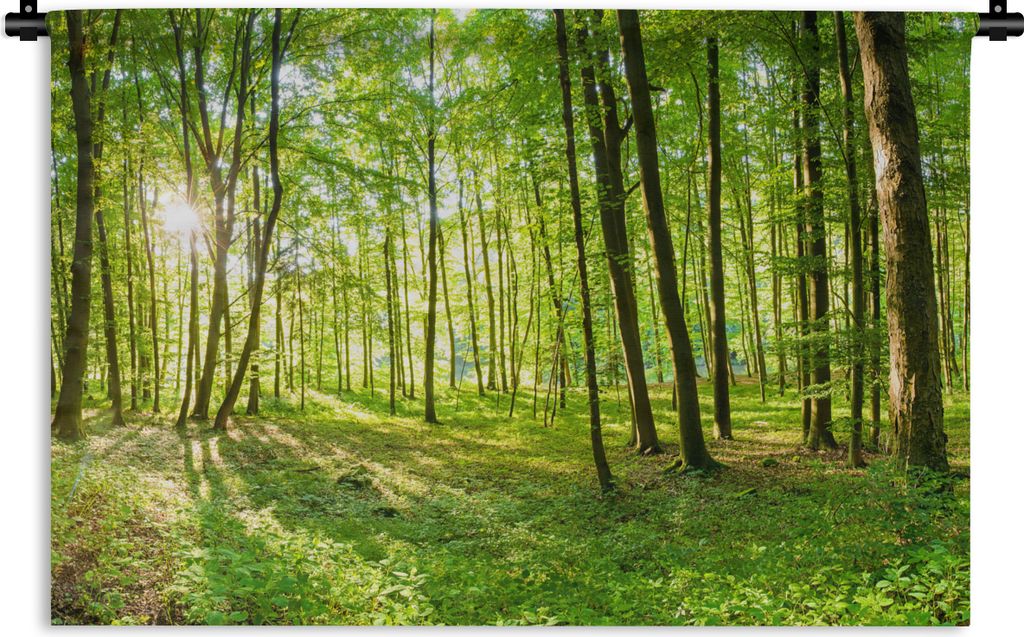 MuchoWow Wandteppich Wandbehang Natur - Bäume - Wald - Grün - Sonnenlicht 120x80 cm Tapisserie Dekoration Wandtuch - Wanddekorationen - Wandtü...
