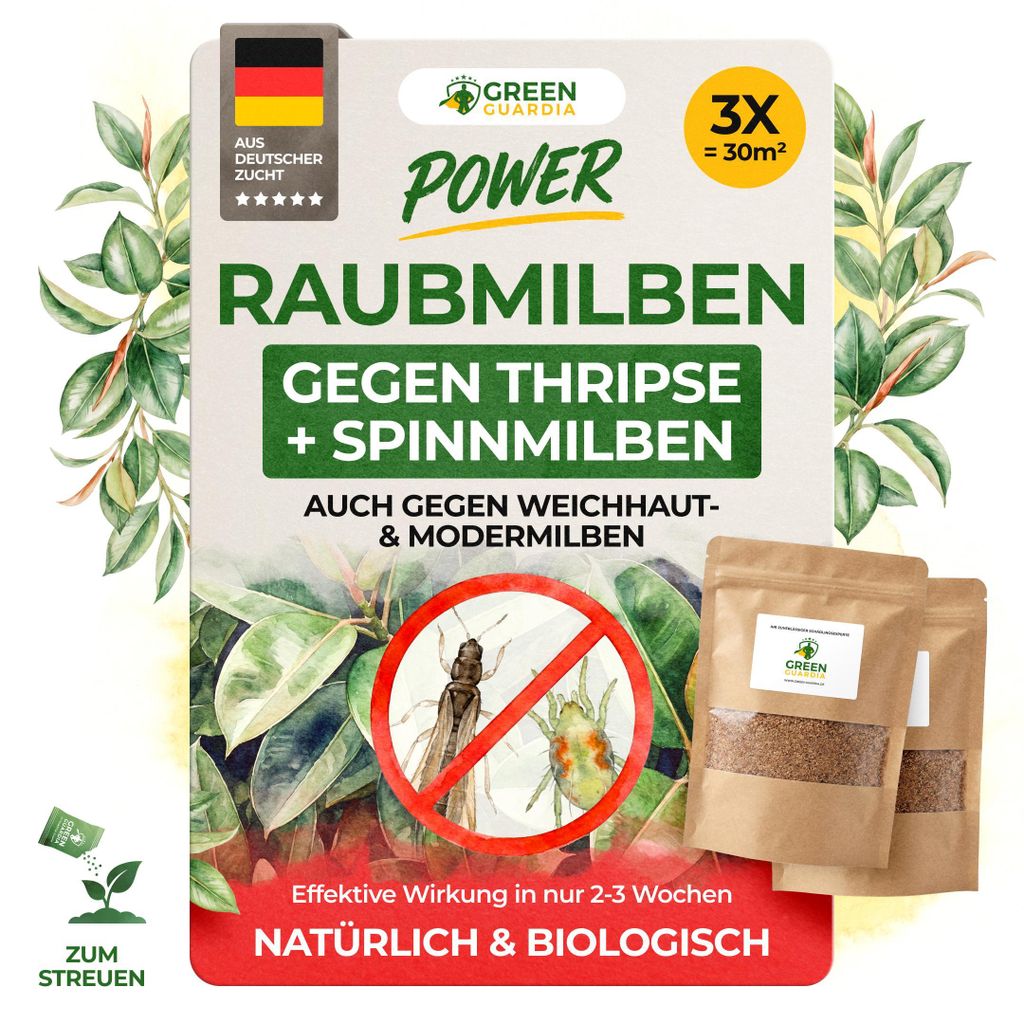 Power Raubmilben Mix gegen Thripse und Spinnmilben -3x Tüten für 30m²- effektiven Thripse & Spinnmilben Bekämpfung. Zimmerpflanzen, Cannabis uvm.