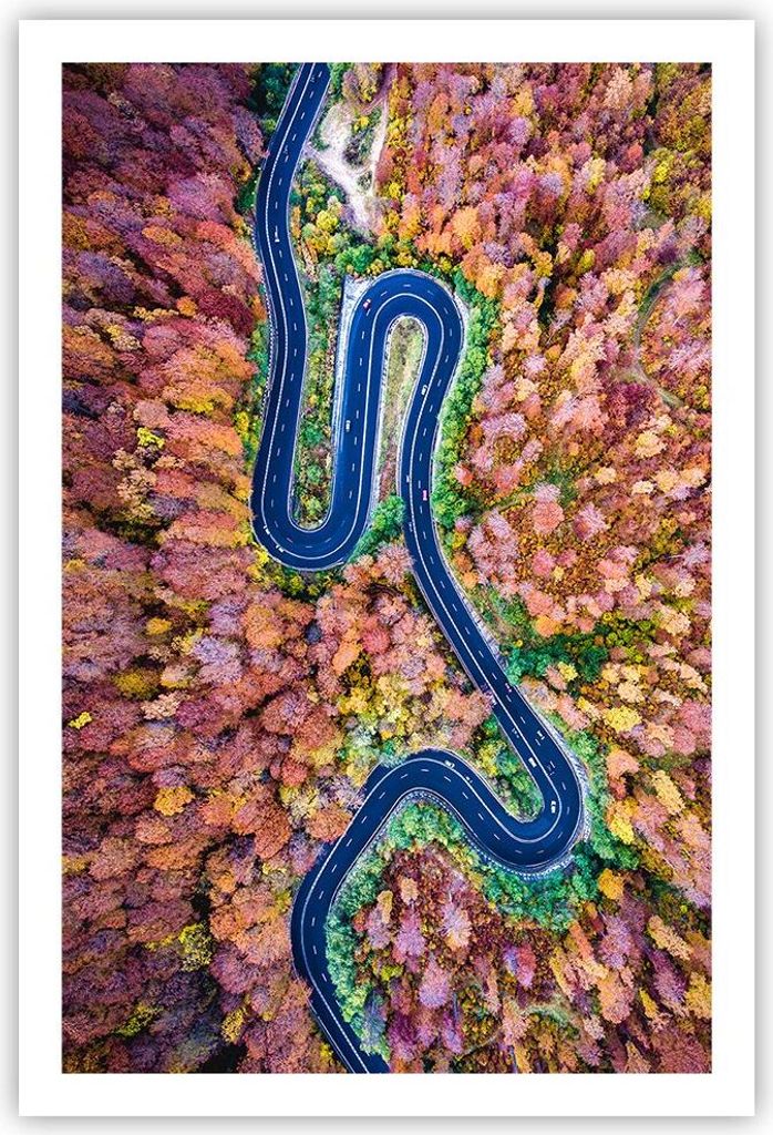 Poster - Poster ohne Rahmen - Kurvenreich Weg Wald - 61x91,5 cm - Wand Bild - Wanddeko - Wandbilder - Kunstposter - Wandposter - Bilder - Kunstdruc...