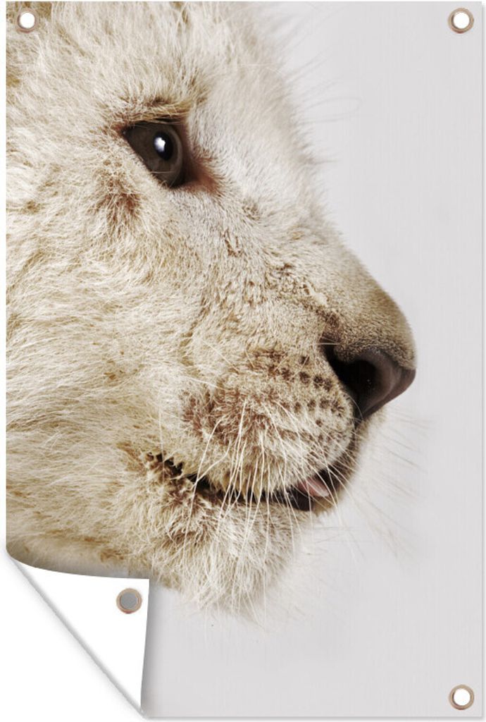 MuchoWow 60x90 cm Outdoor-Poster Gartendeko Sichtschutz Garten Poster für den Garten Profil - Löwe - Weiß