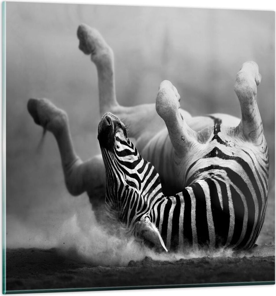 Bilder auf glas - Zebra Streifen Tier wild - 40x40cm - Glasbilder - Wandbilder - Kunstdruck - zum Aufhängen bereit - Wanddekoration aus Glas - Gla...