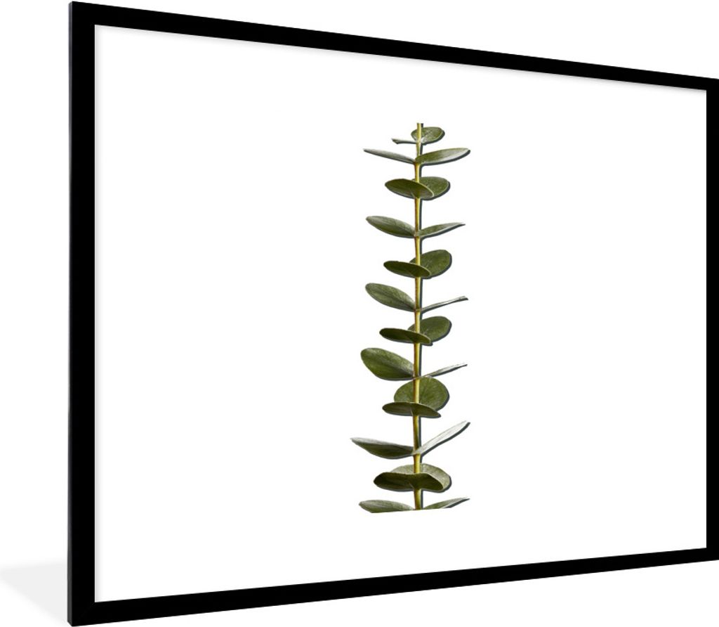 MuchoWow Gerahmtes Poster Eukalyptus-Stamm mit Blättern 80x60 cm - Poster mit Schwarzem Bilderrahmen Wandposter Rahmen Foto Bilder - Schlafzimme...