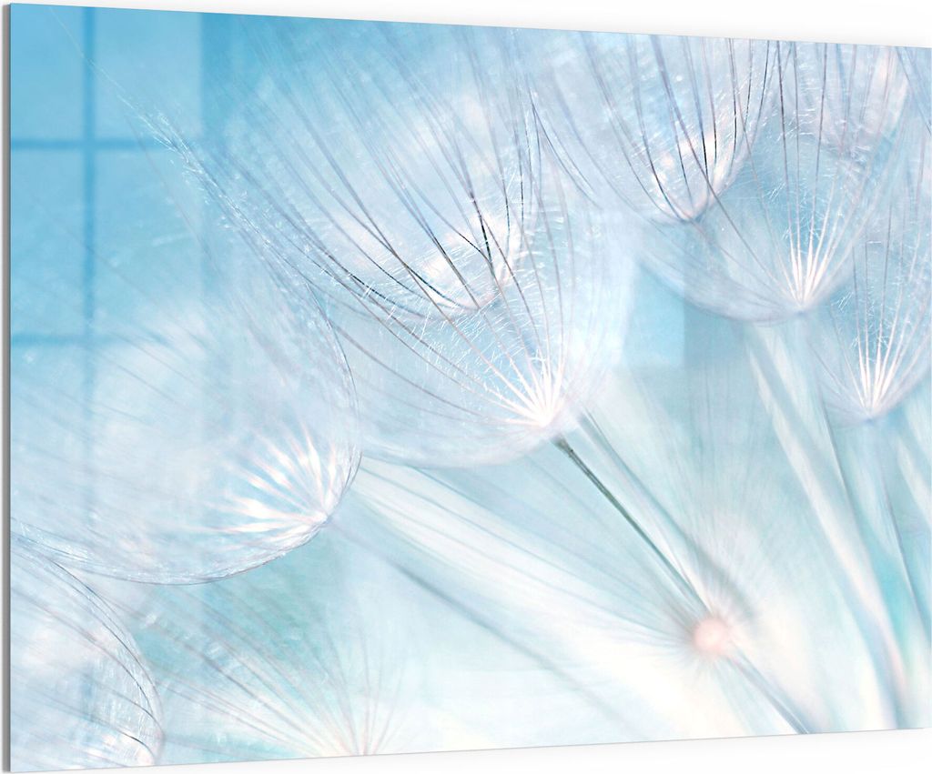 DEQORI Magnettafel Glas 120x90 cm 'Blühender Löwenzahn' beschreibbar Whiteboard