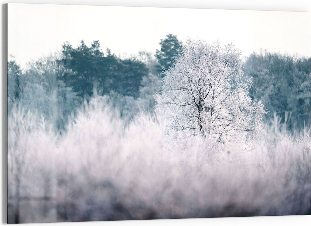 DEQORI Glasbild Echtglas 90x60 cm 'Eisiger Morgen im Wald' Wandbild Bild modern Deko