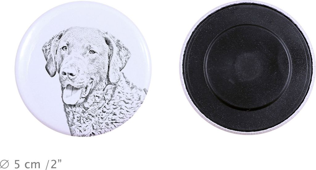 Chesapeake Bay Retriever Magnet mit einem Hundepfotenabdruck, außergewöhnlich leicht, starker Magnet, handgefertigtes Produkt der Marke Art-Dog