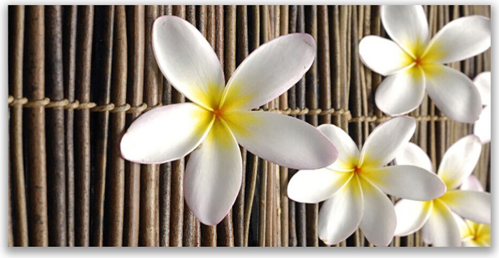 Tulup Leinwand-Bilder 140x70 Wandbild Canvas Kunstdruck Blumen Pflanzen
