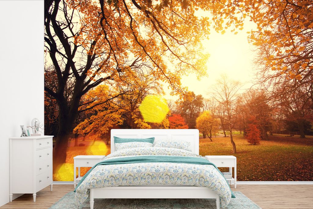 MuchoWow Fototapete für Wohnzimmer oder Schlafzimmer Wandtapete Vinyl Motivtapete Park mit Bäumen im Herbst - 525x350 cm - Das Hintergrundbild