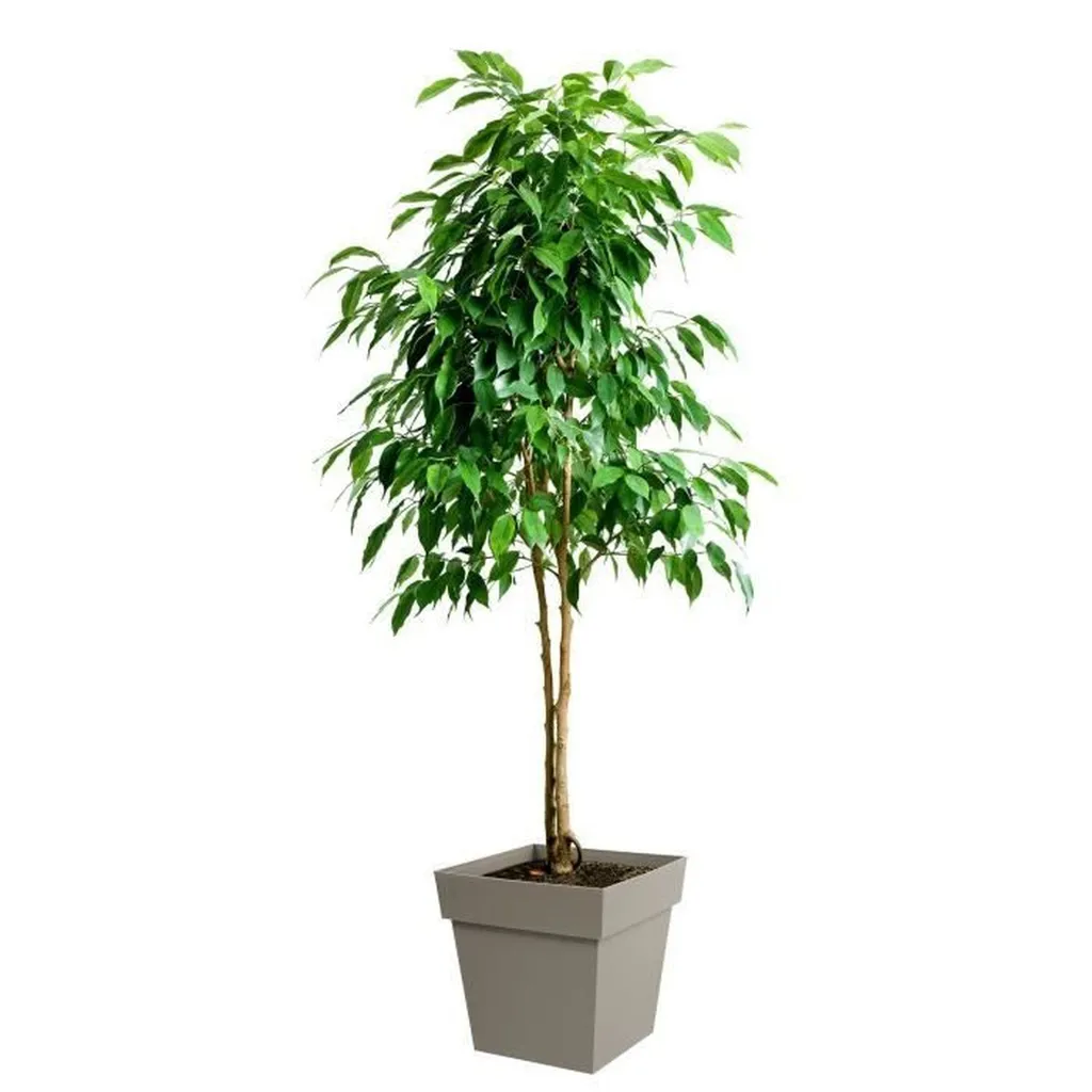 Pot de Fleur Carré Taupe EDA - Bac de Jardin 48L avec Rétention d'Eau