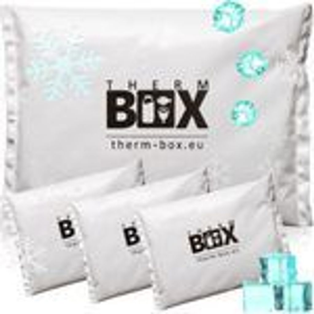 THERM-BOX Profi Kühlakku für Kühlbox Set 4 Stück Groß 450g Wiederverwendbar Kühlpad Kühlpack Kühlbeutel Kühlkissen