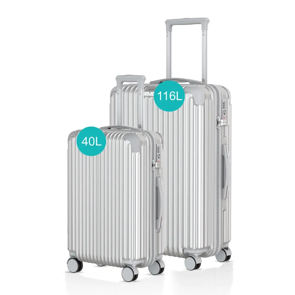 Set Valigie Voyagoux Argento 2 Pezzi TSA | Design e Funzionalità
