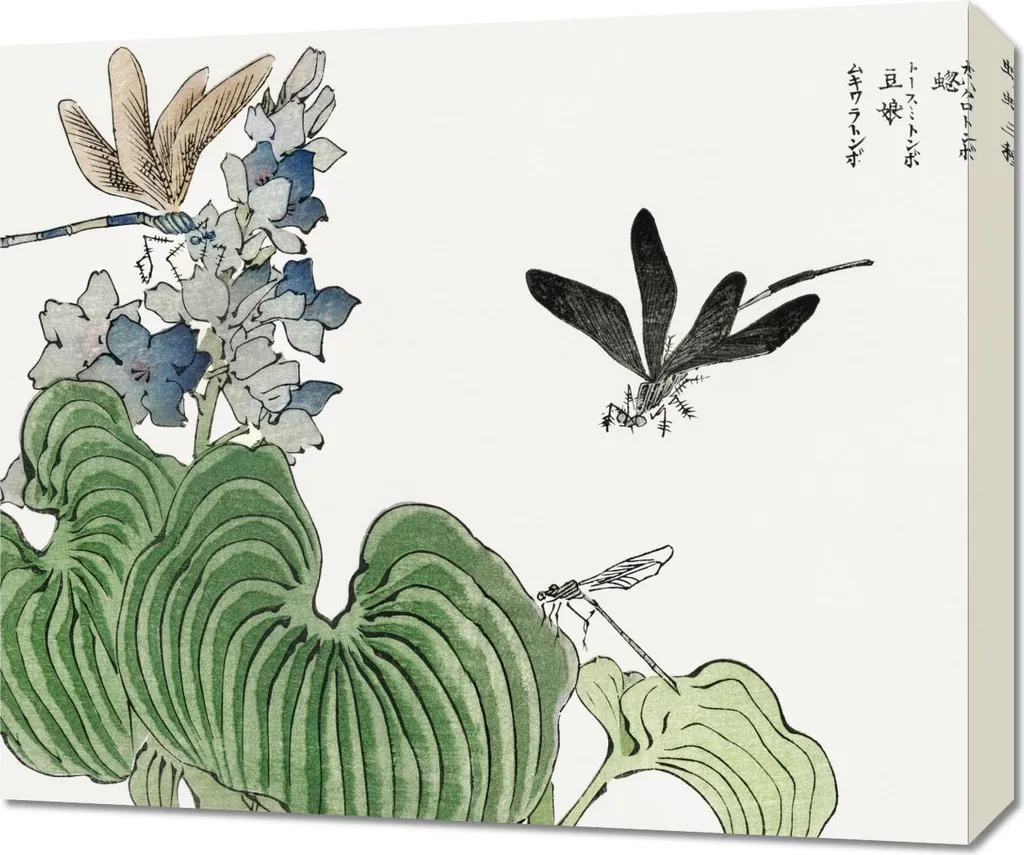 Quadro Morimoto Toko Libellula 60x50 - Arredo Salotto Giapponese
