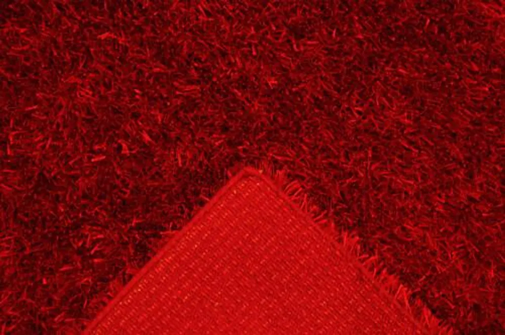 Tapis Shaggy Lambada rouge 170x240 cm - Tapis salon à poils longs épais
