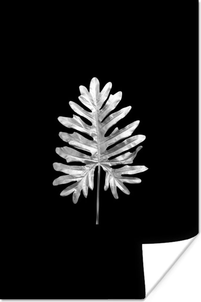 MuchoWow Poster Blatt mit großen Vertiefungen auf schwarzem Hintergrund - schwarz und weiß 120x180 cm - Kunstposter