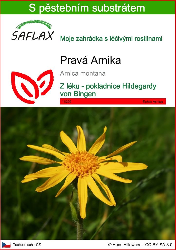SAFLAX - Pravá Arnika - Arnica montana - 40 Semena - S Obrázek produktu 