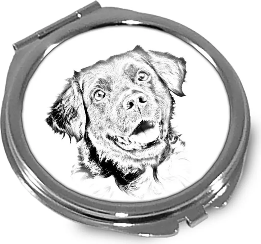 Regalo Personalizzato Stabyhoun - Specchio Compatto Logo Art-Dog