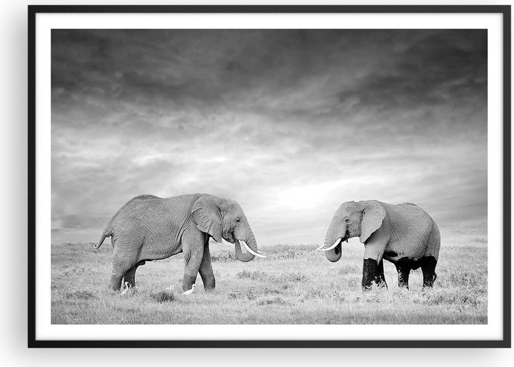 Gerahmtes Poster - Schwarzer Rahmen - Elefanten Schwarzweiß Safari - 100x70 cm - Wand Bild - Wanddeko - Wandbilder - Wandposter - Bilderrahmen - B...