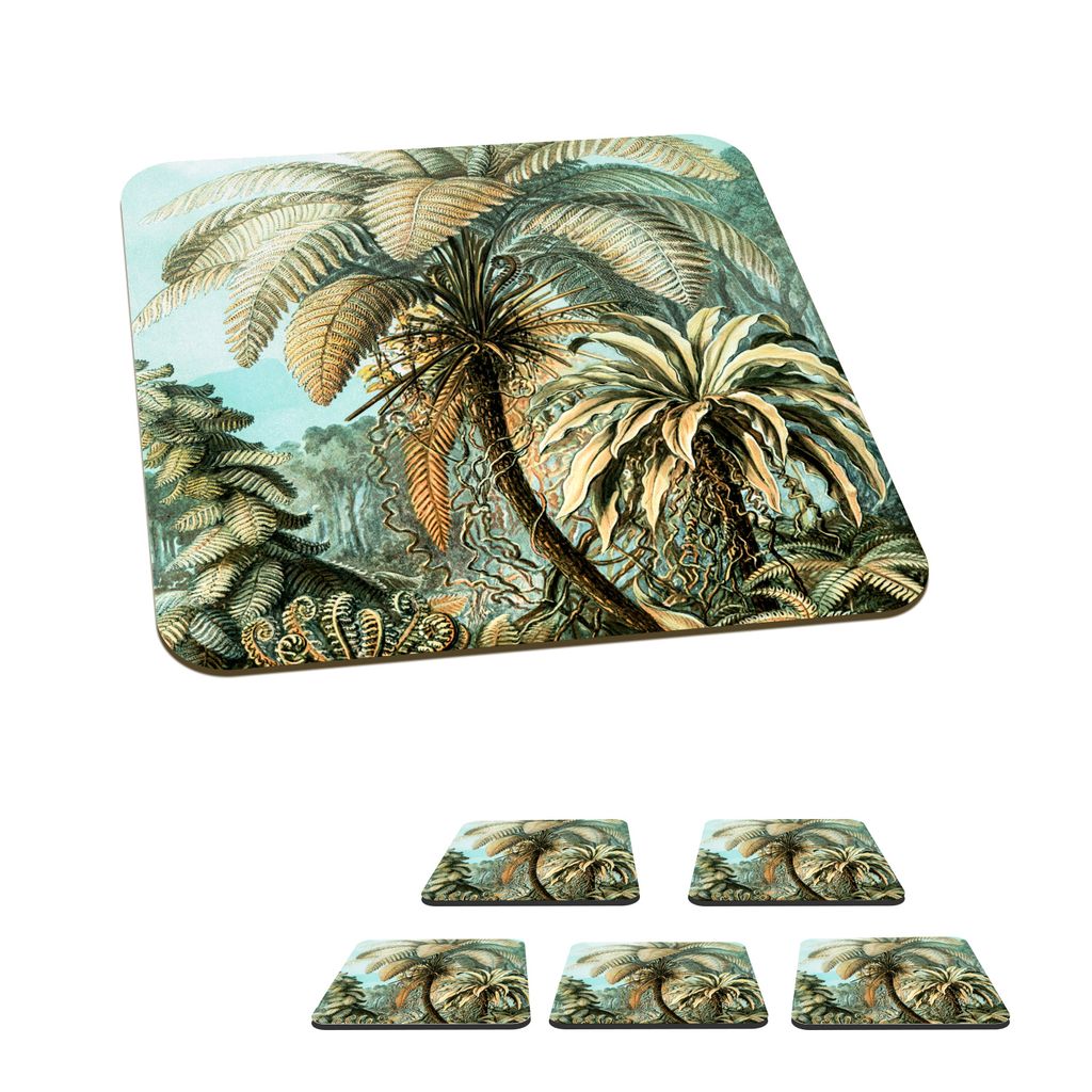 KitchenYeah Glasuntersetzer Quadratisch 6er Set Palme - Ernst Haeckel 10x10 cm Untersetzer für Gläser - Getränkeuntersetzer - Tischplattenschu...