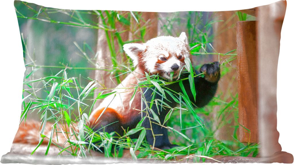 MuchoWow Zierkissen Sofakissen Wohnzimmer Dekokissen 50x30 cm Roter Panda - Bambus - Grün - Wohnzimmerdekoration - Polster mit Photo