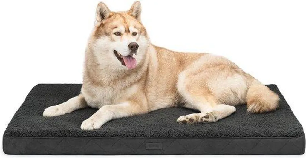 Lit chien orthopédique contre douleurs - Matelas lavable noir 112 cm