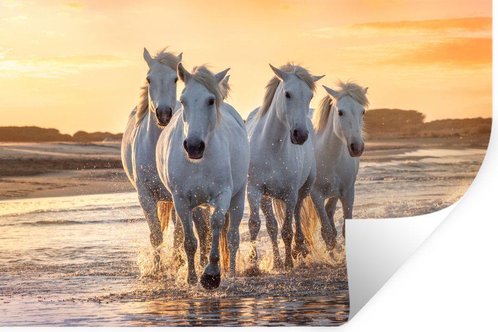 MuchoWow - Selbstklebend - Fototapeten