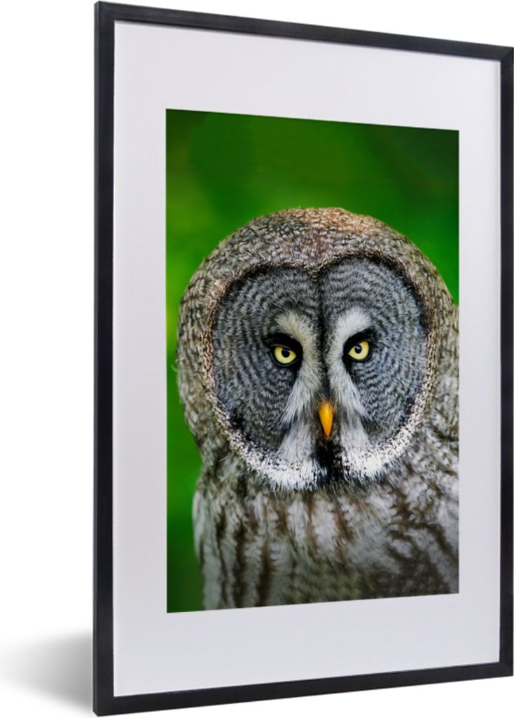 MuchoWow® Gerahmtes Poster Vogel - Eule - Tiere - Braun - Produktbild 