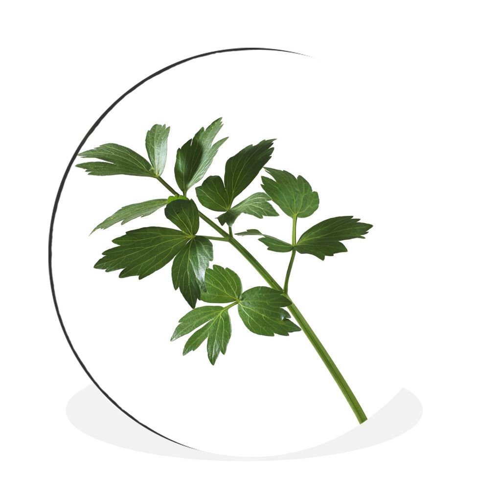 MuchoWow Aluminium Wandkreis Einsamer Lavazweig vor einem weißen Hintergrund Ø 90 cm Wanddeko Modern Wohnzimmer - Mauerkreis - Wandbilder - Run...