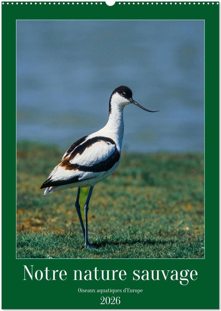 Notre nature sauvage, oiseaux aquatiques d'Europe (Calendrier mural 2026 DIN A2 horizontal), CALVENDO calendrier mensuel