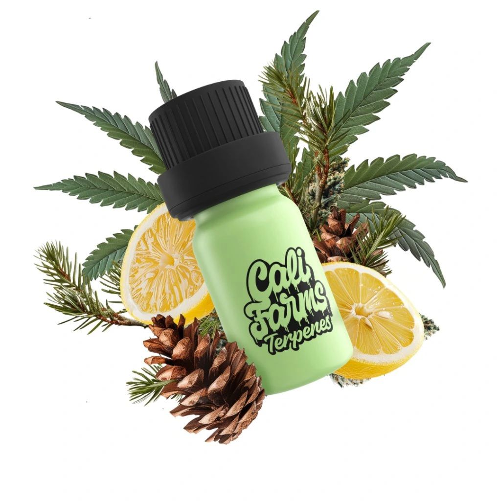 Hanf-Terpene Botanicals | TERPENPROFIL - Durban Poison | 1 Produktbild 
