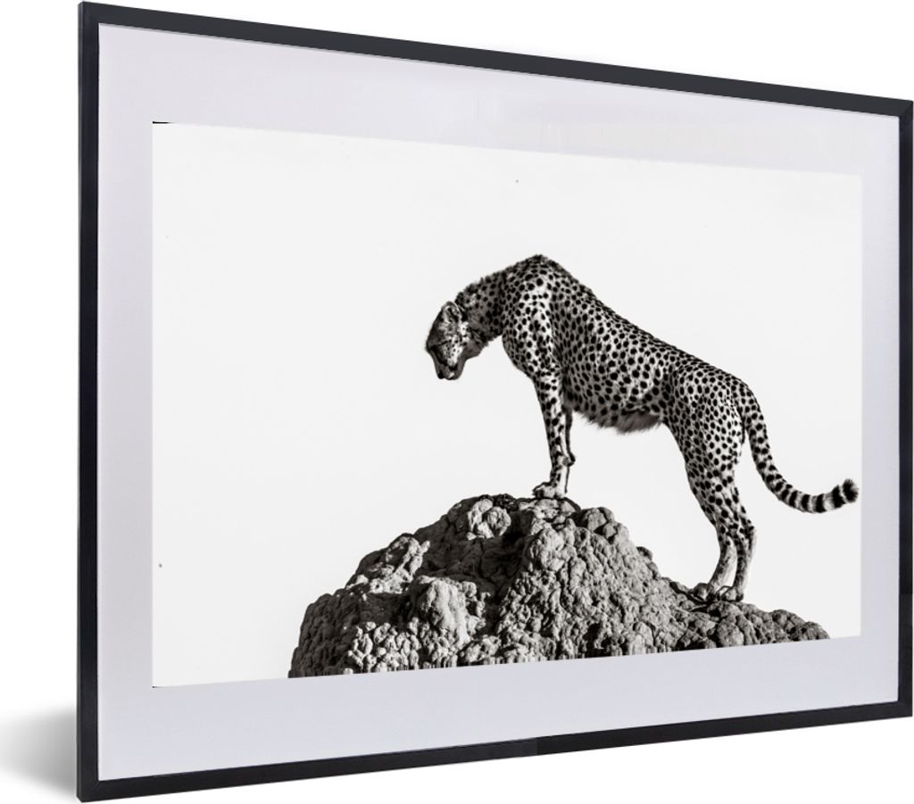 MuchoWow Gerahmtes Poster Raubtier - Panther - Tiere - Natur 60x40 cm - Poster mit Schwarzem Bilderrahmen Wandposter Rahmen Foto Bilder - Schlafz...