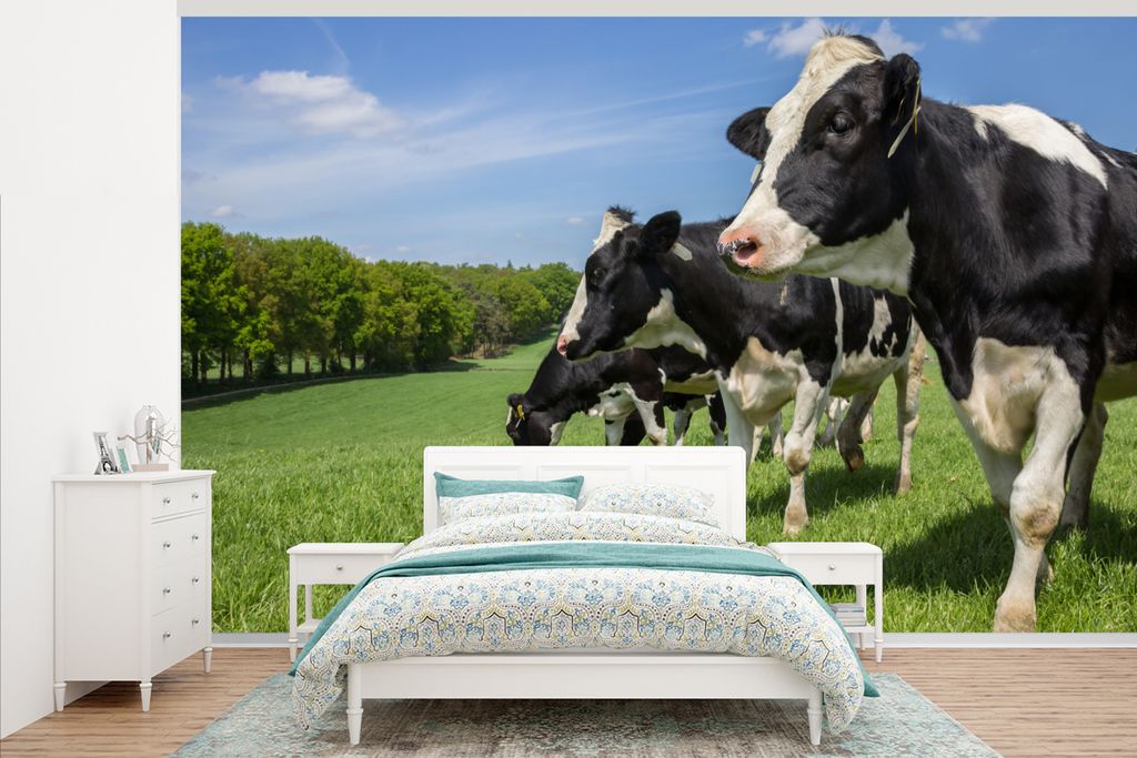 MuchoWow Fototapete für Wohnzimmer oder Schlafzimmer Wandtapete Vinyl Motivtapete Kuh - Gras - Wiese - 405x260 cm - Die Küche