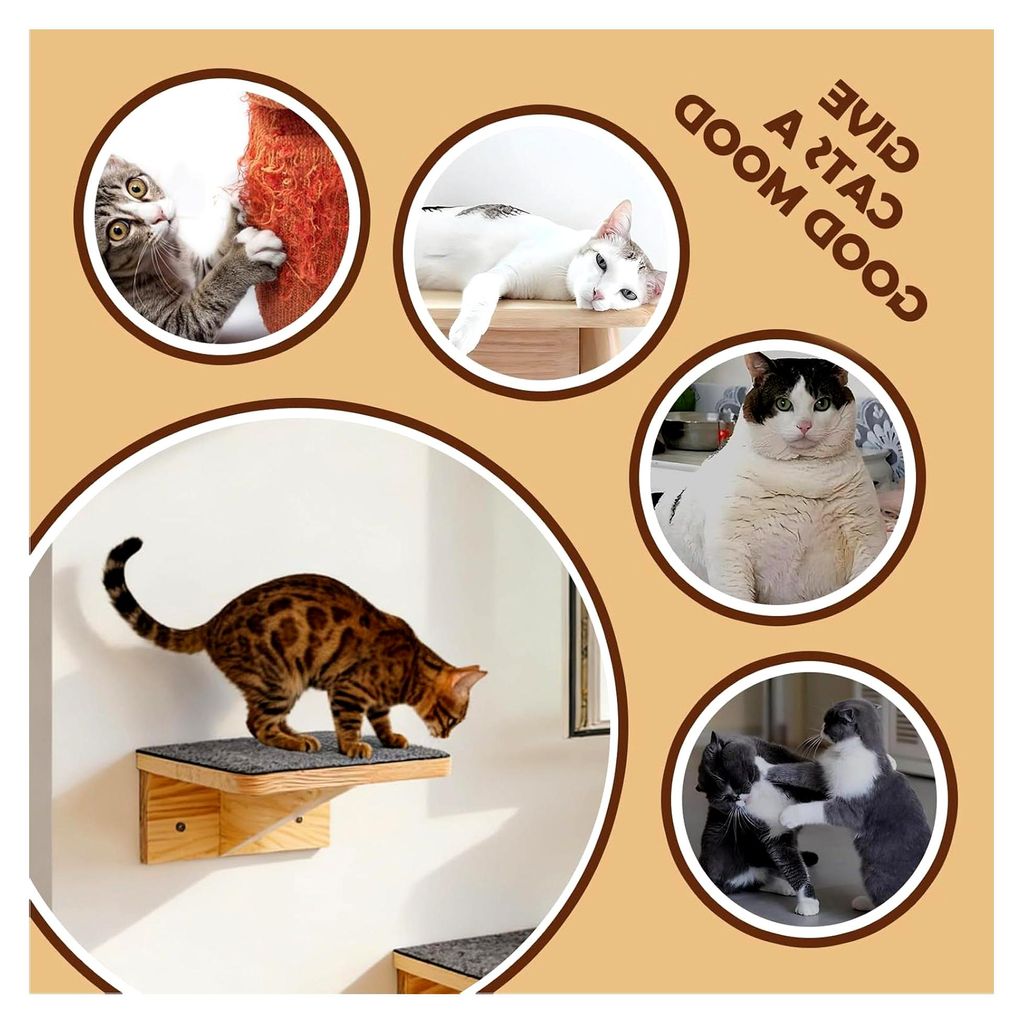 Schwebende Katzenregale | Kletterbett aus Holz für Haustiere – Katzen-Wandregal für Arbeitsplatz, Zuhause, Wohnung, Innenbereich, Wohnzimmer, K...