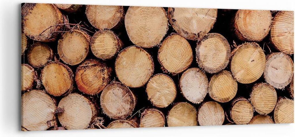 Bild auf Leinwand - Leinwandbild - Einteilig - Holz Baumstämme Stämme - 120x50cm - Wand Bild - Wanddeko - Wandbilder - Leinwanddruck - Bilder - W...