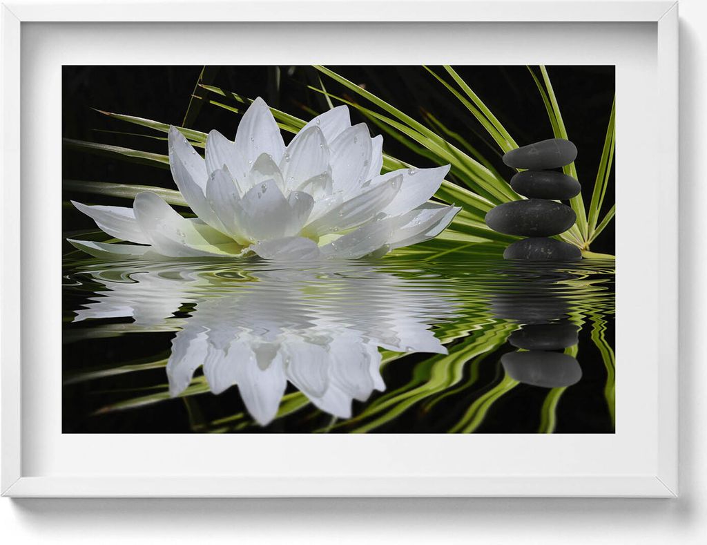 Seerose und Blätter– Wandbild mit Rahmen – Gerahmtes Bild – Wanddekoration – 70x50 cm – Schwarz Rahmen