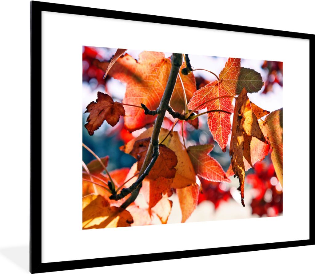 MuchoWow Gerahmtes Poster Ahorn - Blätter - Rustikal - Herbst 80x60 cm - Poster mit Schwarzem Bilderrahmen Wandposter Rahmen Foto Bilder - Schla...