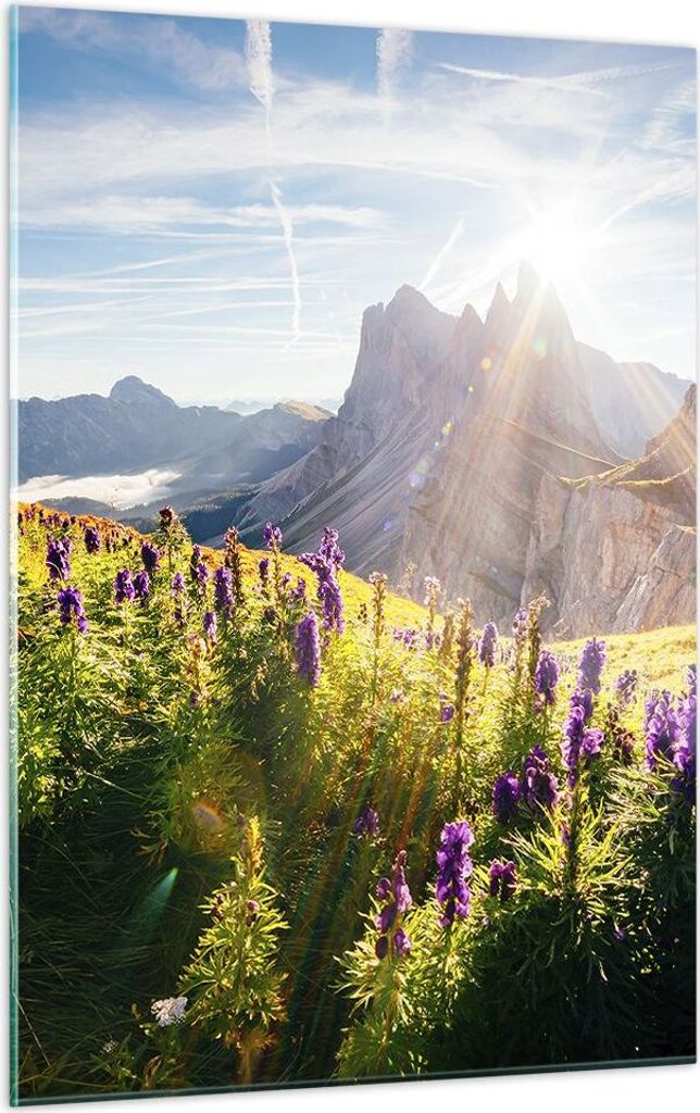 Bilder auf glas - Einteilig - Berge Wiese Blumen - 50x70cm - Glasbilder - Wandbilder - Bilder - zum Aufhängen bereit - Wanddekoration aus Glas - G...