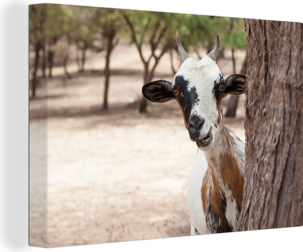 OneMillionCanvasses - Leinwandbilder - 140x90 cm, Ziege - Baum - Tiere, Wandbilder Kunstdruck Wanddekoration