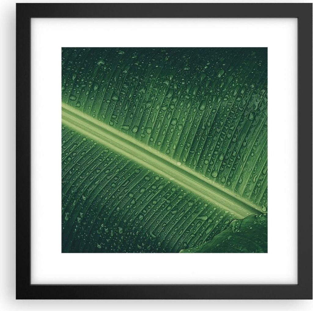 Gerahmtes Poster - Schwarzer Rahmen - Makro Blatt Tropfen - 30x30 cm - Wand Bild - Wanddeko - Wandbilder - Kunstposter - Wandposter - Bilderrahmen ...