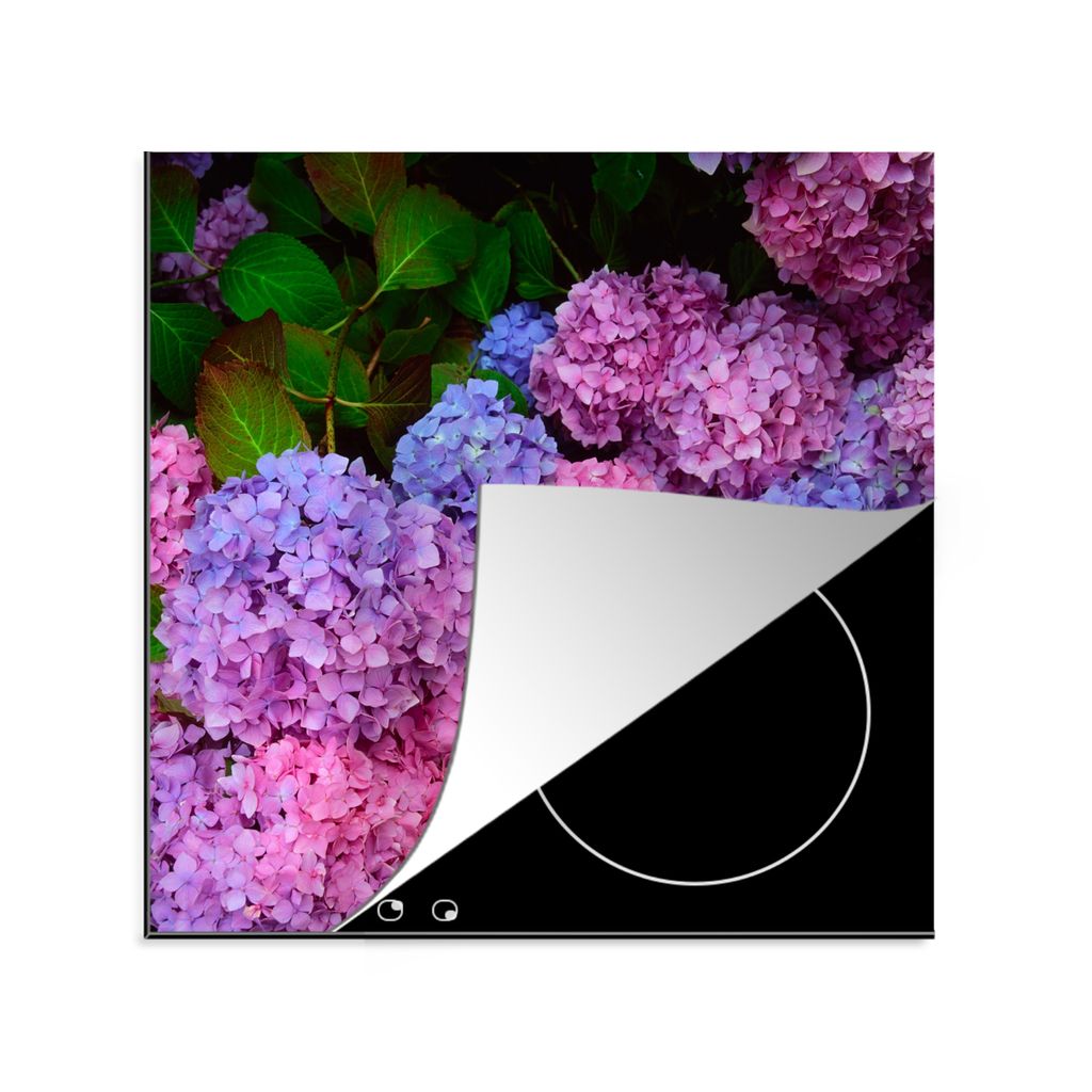 KitchenYeah Herdabdeckplatte Rosa und blaue Hortensie , 78x78cm, Küche Deko, Glaskeramikkochfeld Herdabdeckung, Abdeckplatte fùr Kochfeld