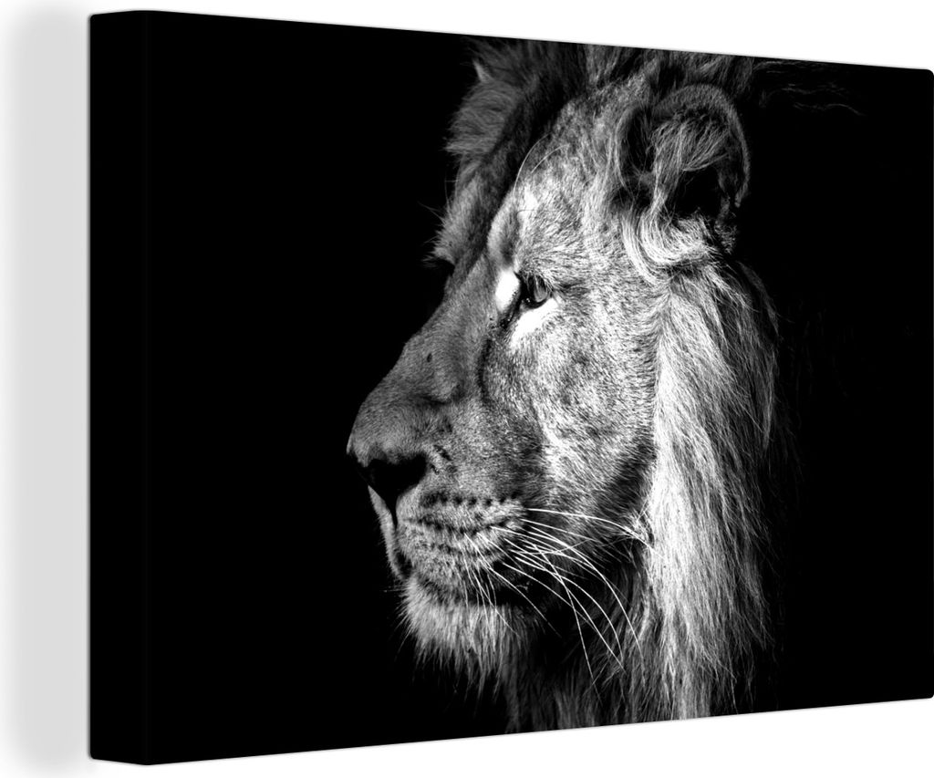 OneMillionCanvasses - Leinwandbilder - 150x100 cm, Löwe auf schwarzem Hintergrund - schwarz und weiß, Wandbilder Kunstdruck Wanddekoration