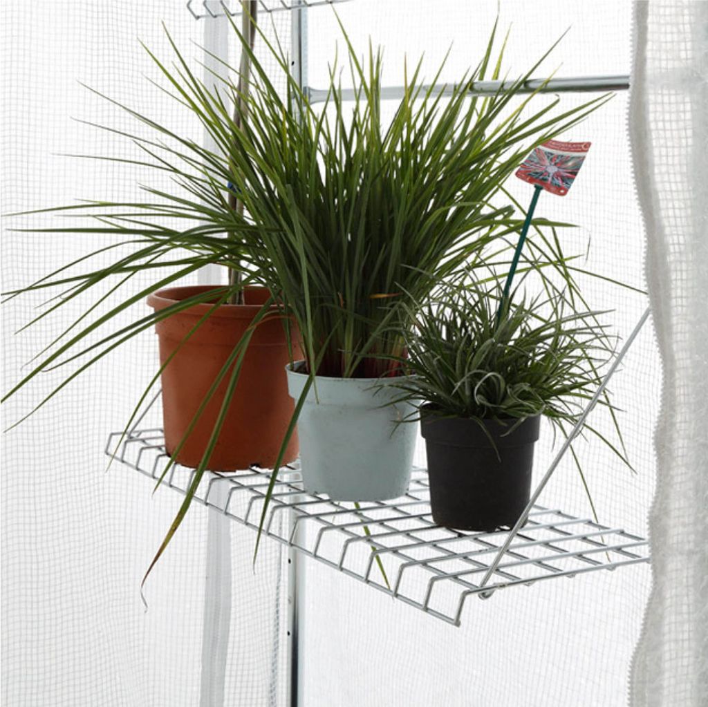 BioGreen Regal für Überwinterungszelt "Patioflora 100/L" 80 cm x 30 cm