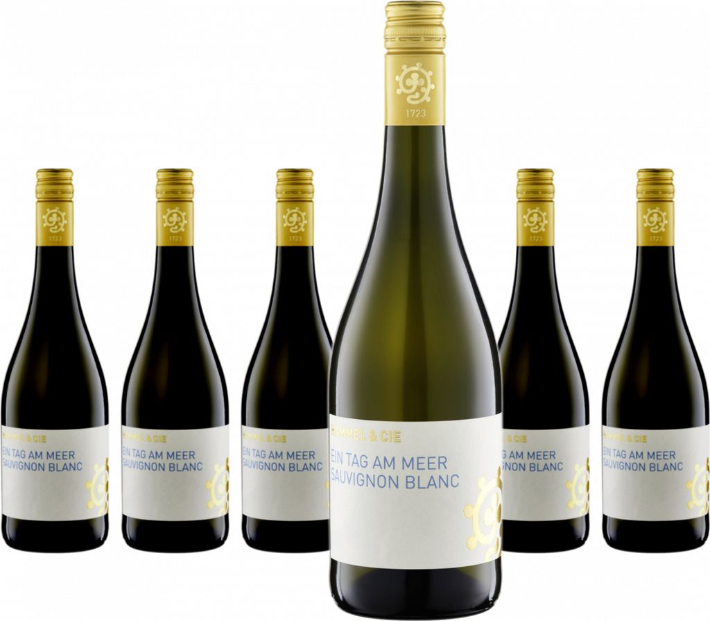 6 x Weingut Hammel Sauvignon Blanc Ein Tag am Meer trocken Produktbild 