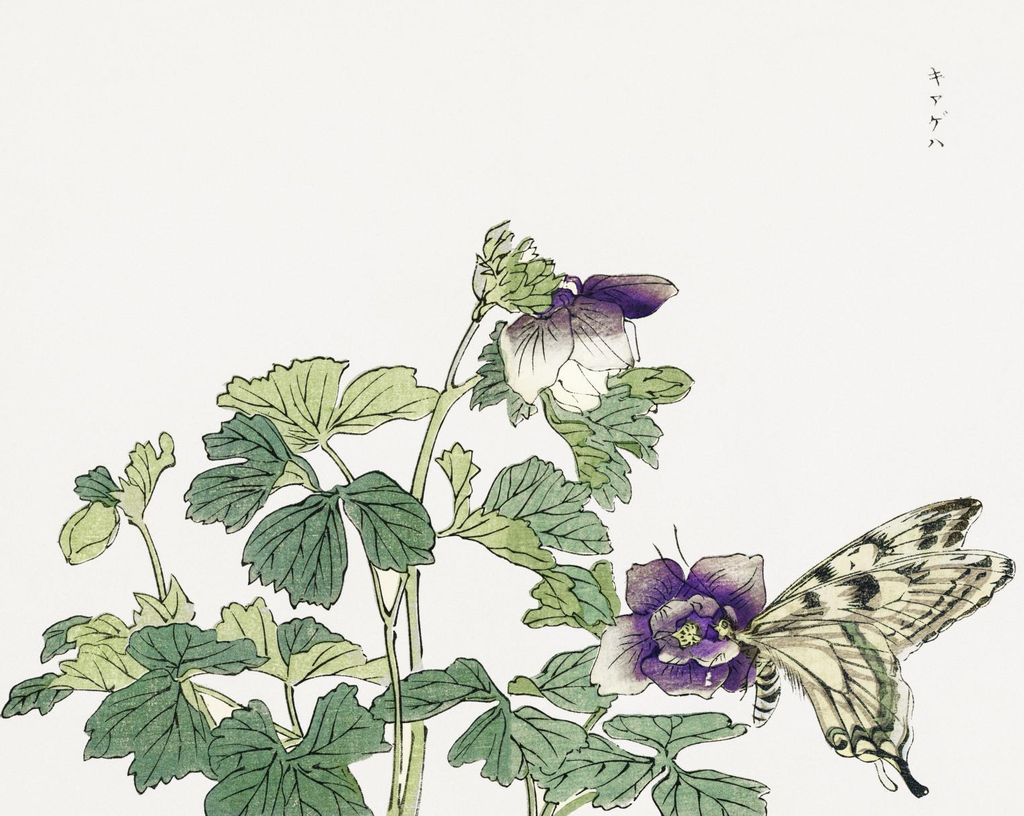Poster 76x60,5cm Schmetterling mit Blume Morimoto Toko Japanisch Vintage für das Wohnzimmer