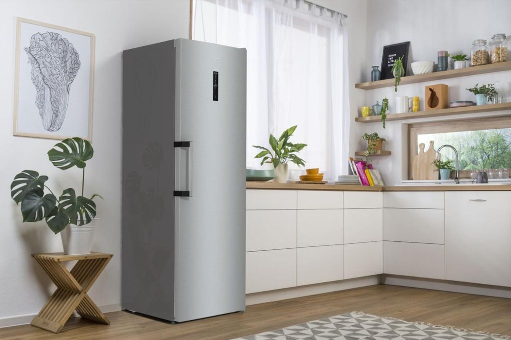 Gorenje FN619DAXL6 Gefrierschrank, freistehend, 280 Liter