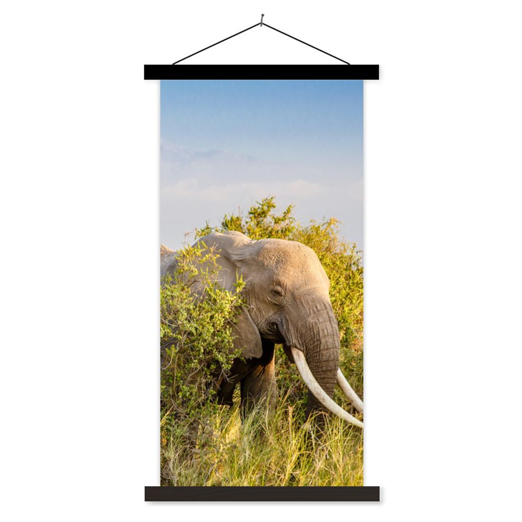 MuchoWow Textilposter Elefant - Tiere - Gras - Grün - Berg 60x120 cm mit schwarzem Rahmen - Magnete