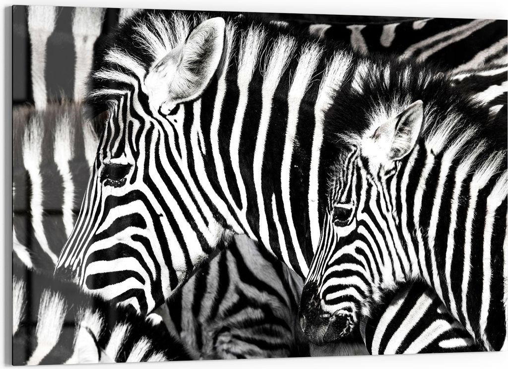 DEQORI Glasbild Echtglas 90x60 cm 'Streifenharmonie' Wandbild Bild modern Deko