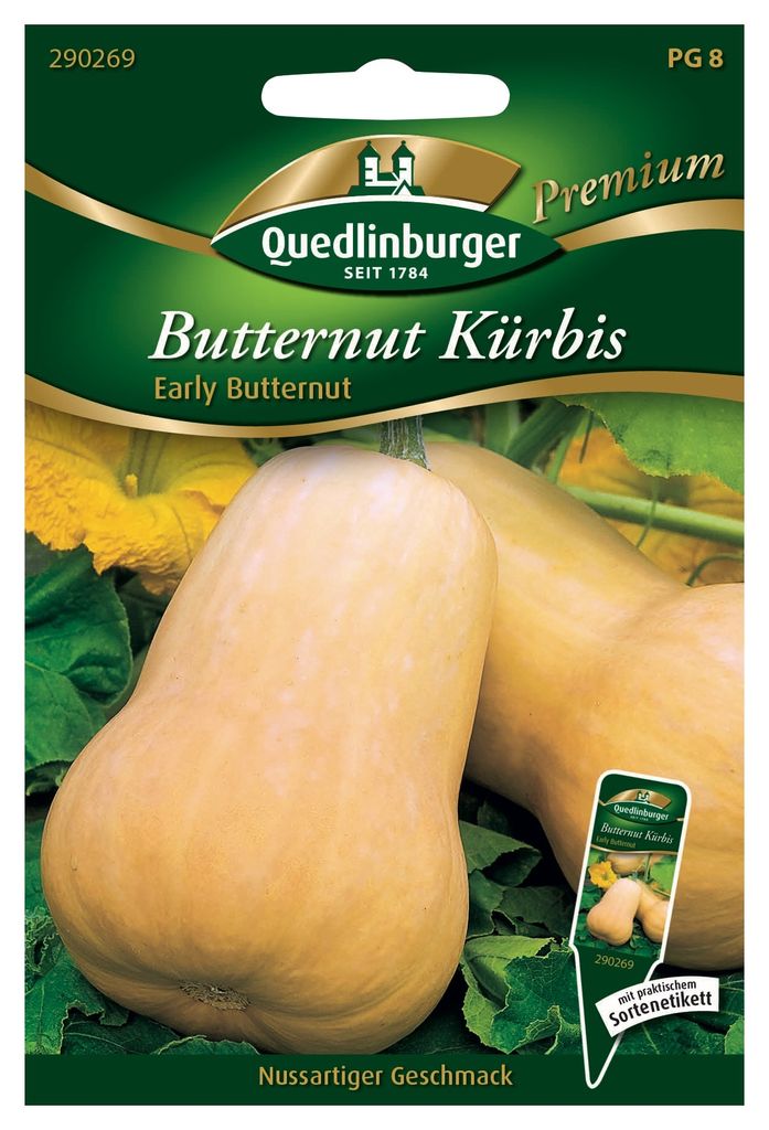 Butternutkürbis Early Butter | Butternutkürbissamen von Produktbild 