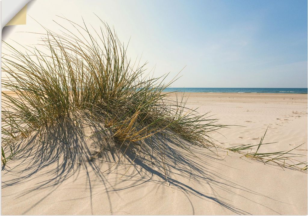ARTland Wandbild, selbstklebend Strandgras Größe: 70x50 cm Produktbild 