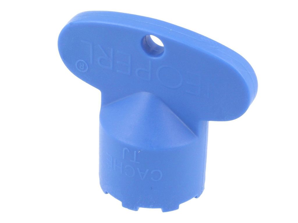 A blue plastic key for a cache system.